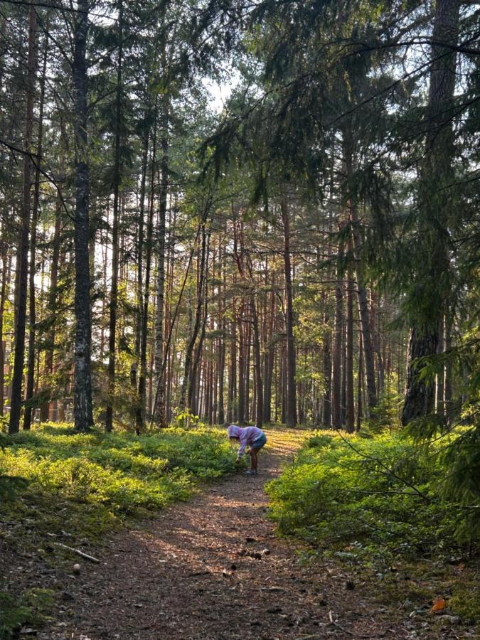 Albatross Getaway By The Sea, Spa And Forest With A Terrace Kesterciems Екстер'єр фото